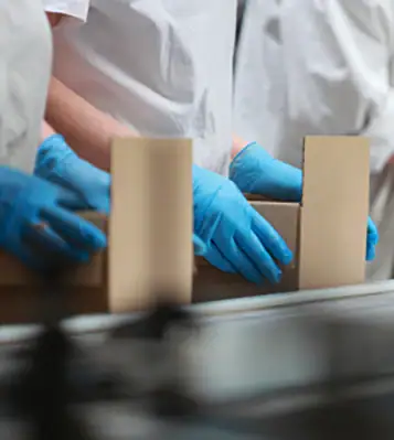 people packing boxes